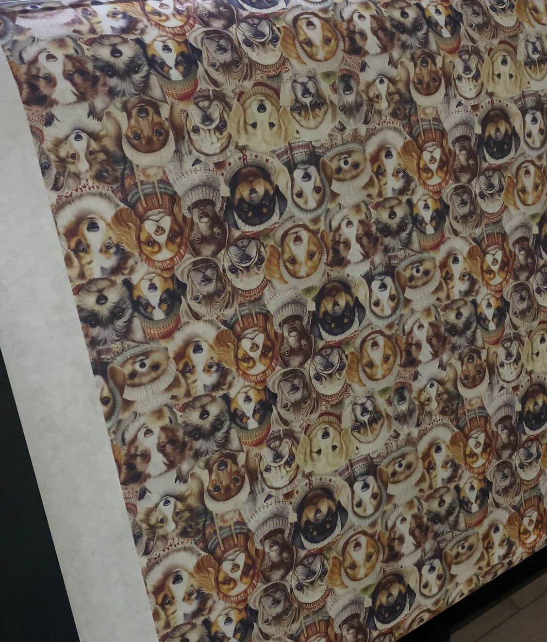 Video Thumbnail 1